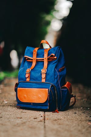 Jak můžete donést nákup domů ekologicky